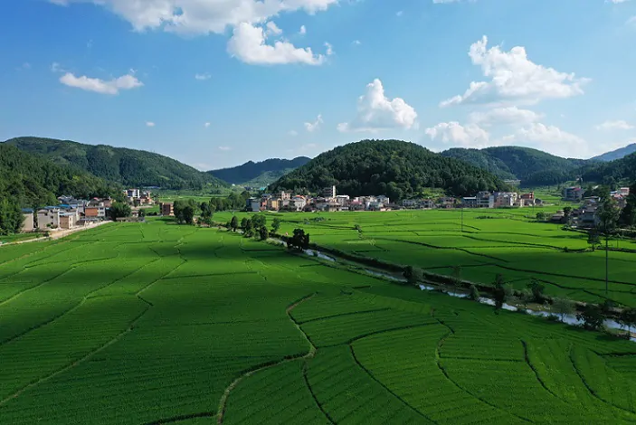 【农发行黔东南州分行】&ldquo;虎&rdquo;力全开创新绩   贷款余额突破200亿元大关