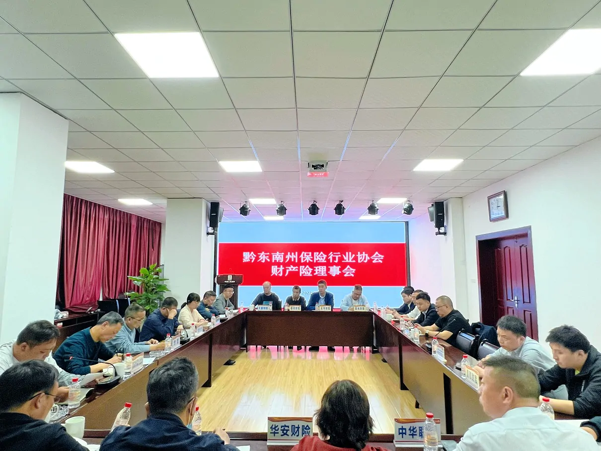  黔东南州保险行业协会召开2022年二季度财产险理事会