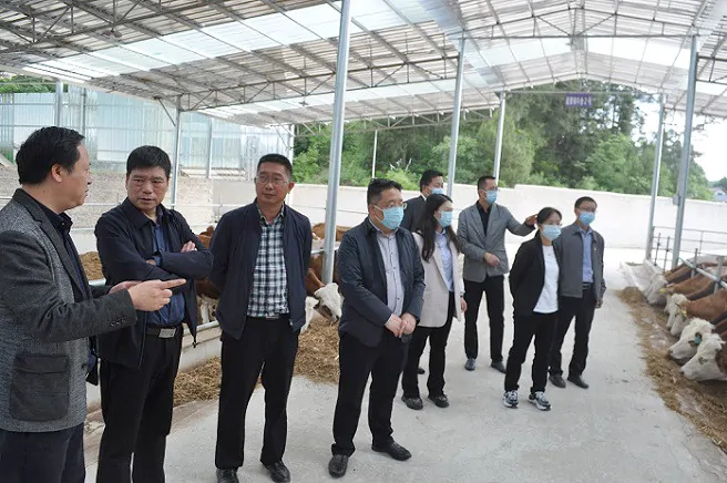 政府搭台乡村振兴项目          银企共担携手同创未来