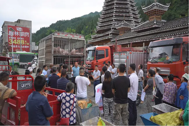 岑巩农信社：引金融&ldquo;活水&rdquo; 助农助企成长