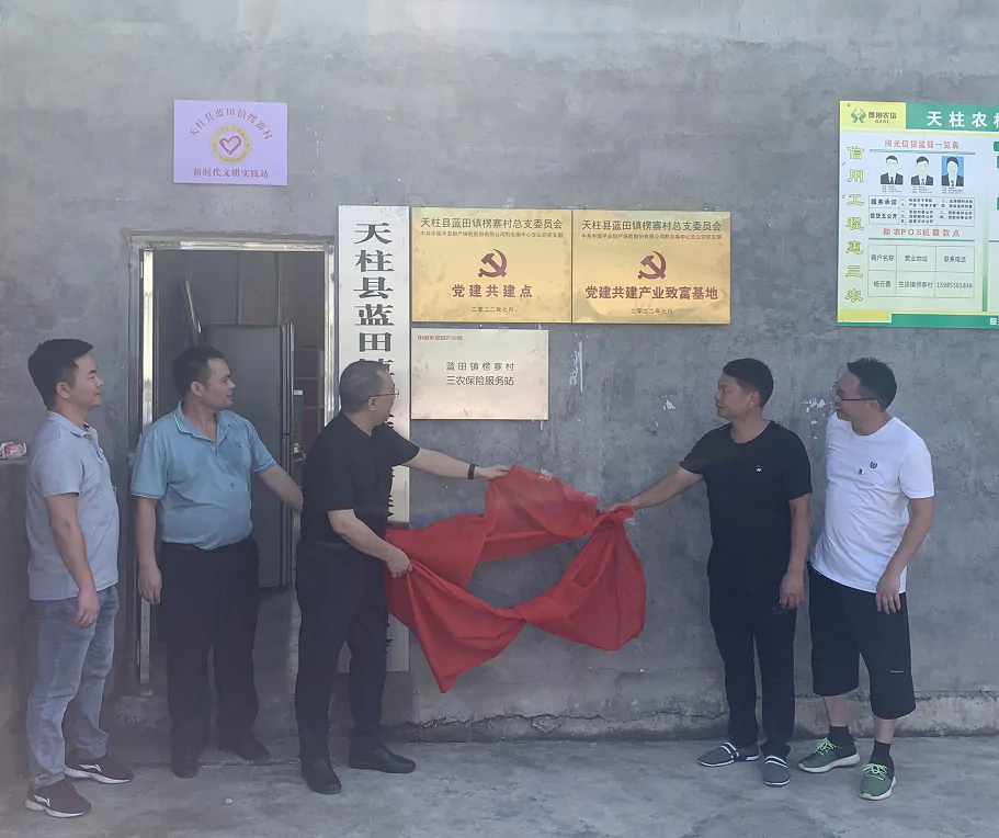 平安财险&ldquo;乡风文明100行动&rdquo;支持党建共建