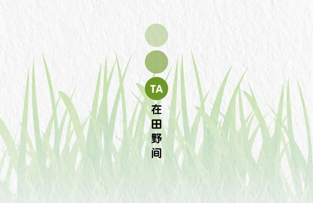  图片故事-揭秘！稳稳的幸福是谁在守护？