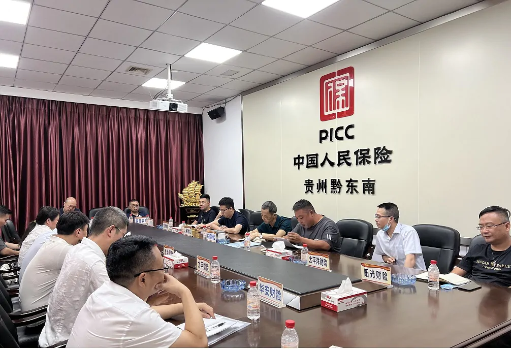 黔东南州保险行业协会召开财产险专业委员会工作会议