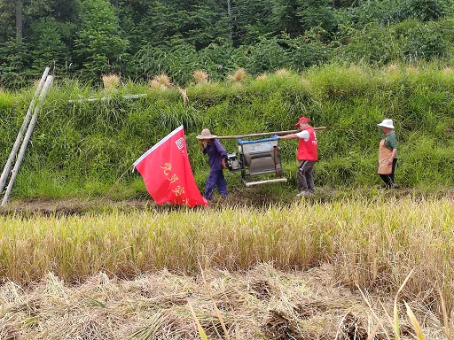 人保财险剑河支公司：暖心办实事，助力抓秋收