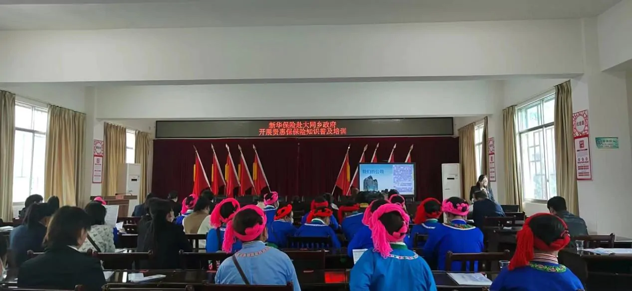 新华保险锦屏营服积极到乡镇开展金融 知识普及活动