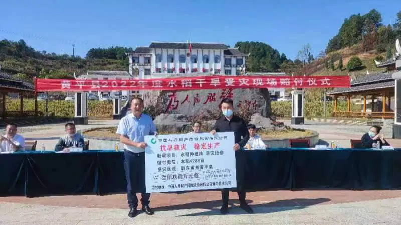 国寿财险黔东南中支举办水稻保险现场赔付仪式