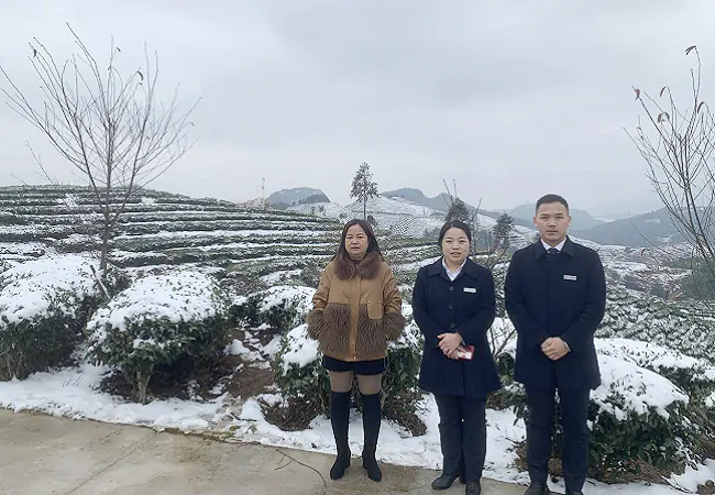 工行丹寨支行&ldquo;雪中送贷&rdquo;为茶企滴灌&ldquo;金融活水&rdquo;