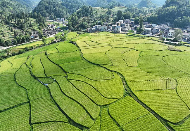 农发行岑巩县支行： 砥砺十年谱新篇    奋楫扬帆启新程