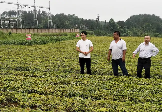 农行黔东南分行高质量金融服务乡村振兴