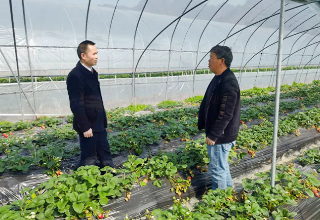 岑巩农信联社：&ldquo;乡村振兴贷&rdquo;   &ldquo;贷&rdquo;来&ldquo;莓&rdquo;好生活