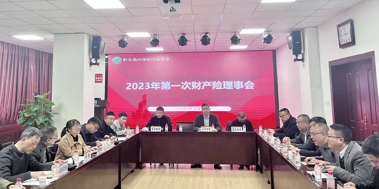 黔东南州保险行业协会召开2023年第一次财产险理事会