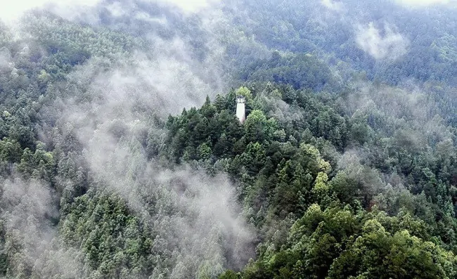 农发行黔东南州分行：绿色金融助&ldquo;绿&rdquo;成&ldquo;金&rdquo;   厚实生态之州&ldquo;绿色家底&rdquo;