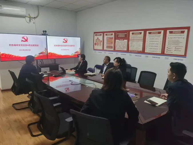 新华保险黔东南中支党支部组织开展4月主题党日活动