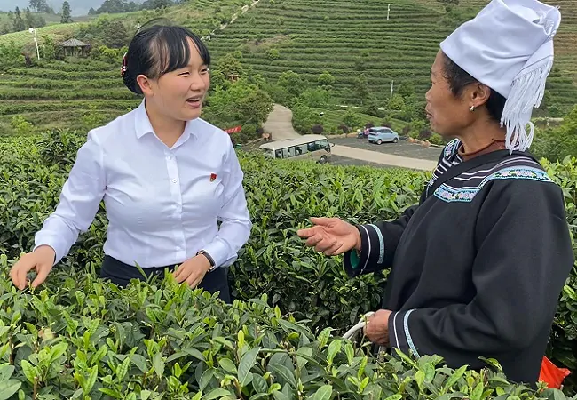 工商银行凯里分行员工走进丹寨县万达茶园为当地茶农宣传“种植e贷”.jpg
