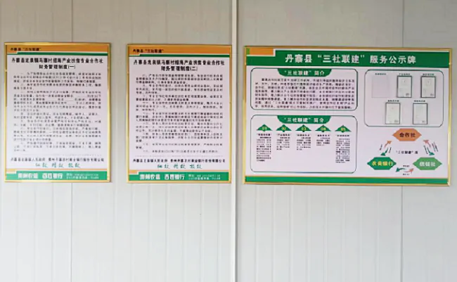 （图为：龙泉镇马寨村绍海产业专业合作社“三社联建”相关制度上墙）.png