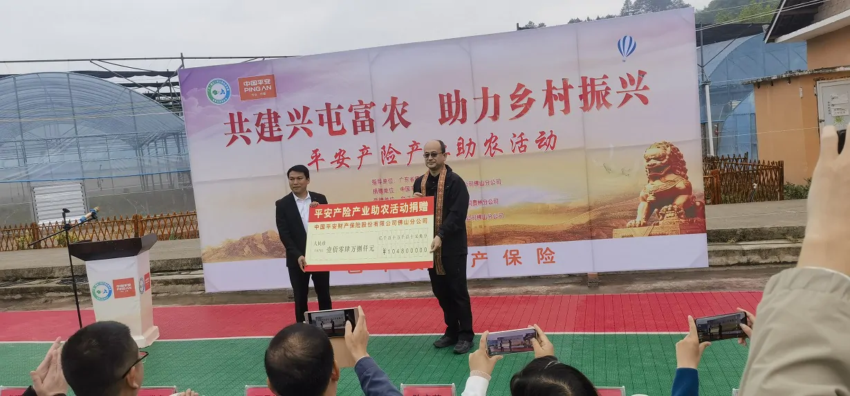 平安产险佛山分公司携手贵州分公司到台江县开展东西部协作产业振兴项目帮扶捐赠仪式