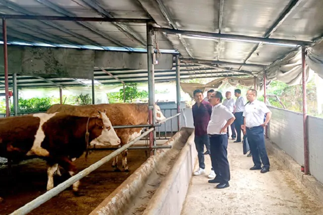 凯里农商银行：助推农村经济发展   实现农民增收致富