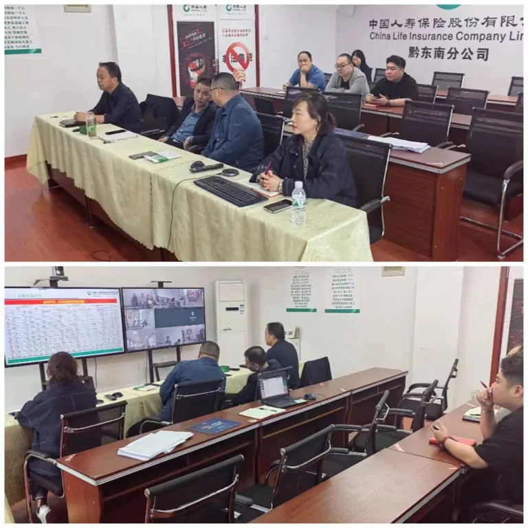 中国人寿黔东南分公司召开全州多元板块二季度消负工作视频会议