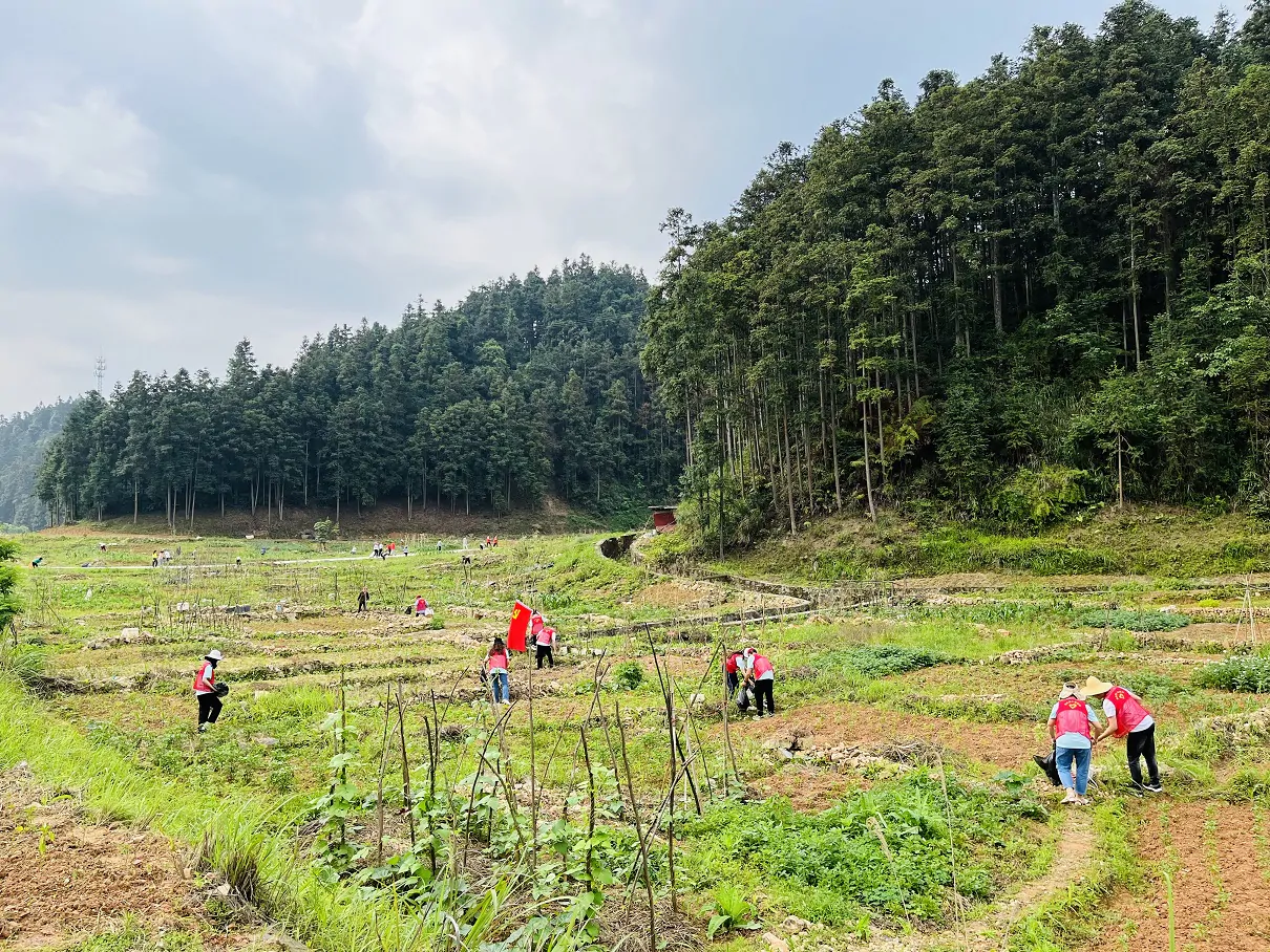 人保财险锦屏支公司：整治环境卫生 伴倩&ldquo;和美城乡&rdquo;