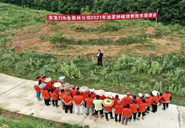 种植技术培训会11.jpg