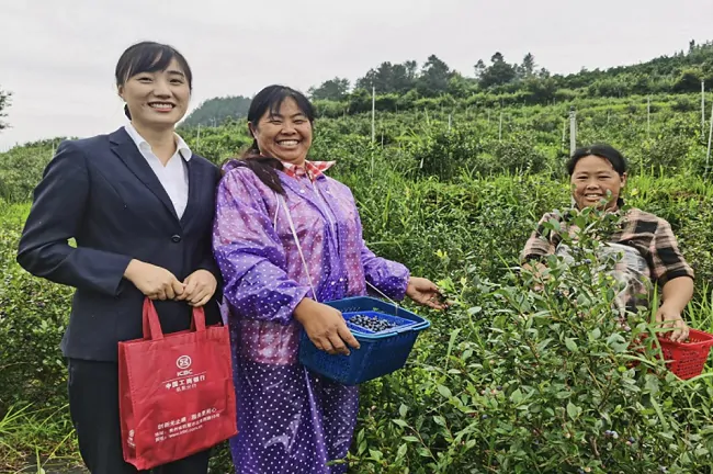（图为：工商银行凯里分行到麻江县某蓝莓种植基地开展实地调研）2.png