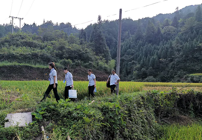 台江富民村镇银行：普惠金融行，向下一个五年前进！