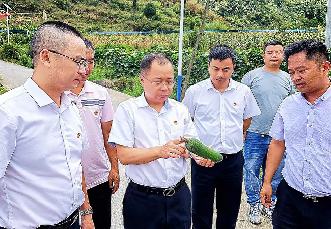 坚守定位 聚焦主业 为绘就锦绣黔东南新画卷贡献农信力量