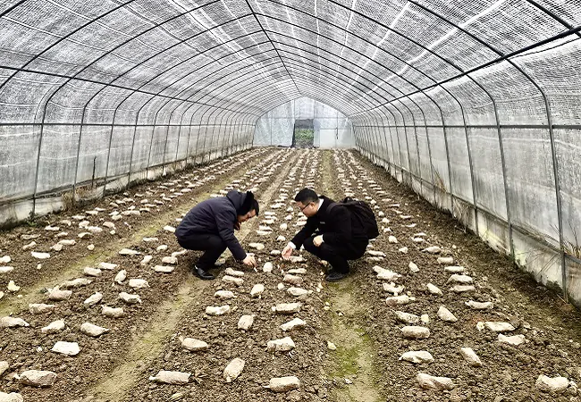 锦屏农信联社：金融&ldquo;活水&rdquo;润春耕 倾情服务为&ldquo;三农&rdquo;