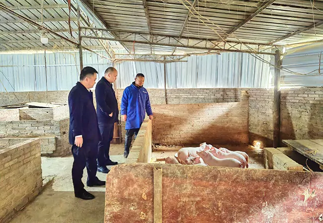 4235万元，镇远农商银行为生猪养殖注入&ldquo;金融饲料&rdquo;