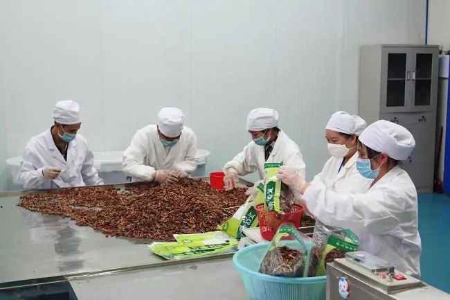 农发行天柱县支行：金融活水注入特色产业 药材变药 &ldquo;财&rdquo;奏响乡村振兴曲