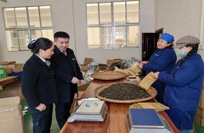 （图为：雷山农信联社客户经理深入茶企了解茶叶生产情况）.png
