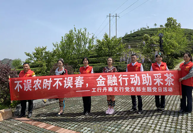 工商银行丹寨支行：不误农时不误春 助农采茶收入增