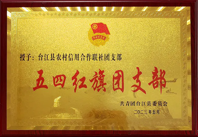 喜报！台江农信联社团委荣获台江县 &ldquo;五四红旗团支部&rdquo;称号
