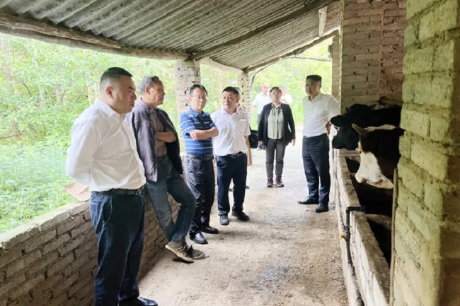 2-陶敏华一行到养殖场调研.jpg