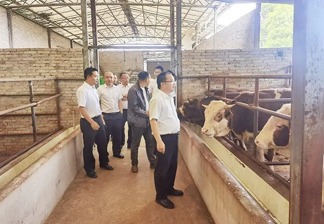 (图为:省联社黔东南审计中心党委委员、副主任唐永贤深入种养殖企业调研)11.jpg