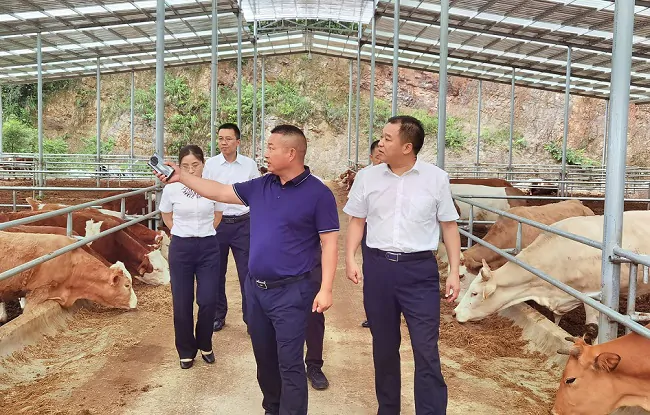 镇远农商银行四举措支持&ldquo;一县一业&rdquo; 发展，助力乡村振兴