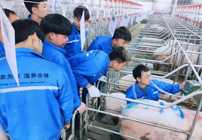 贵州银行黔东南分行：3000万元，&ldquo;贷&rdquo;动生猪养殖企业大发展