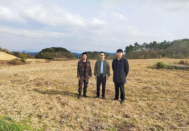 建行金融&ldquo;活水&rdquo; 润泽乡村振兴