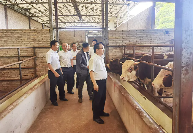 （图为：省联社黔东南审计中心党委委员、副主任唐永贤（右一）到养殖基地调研）.png