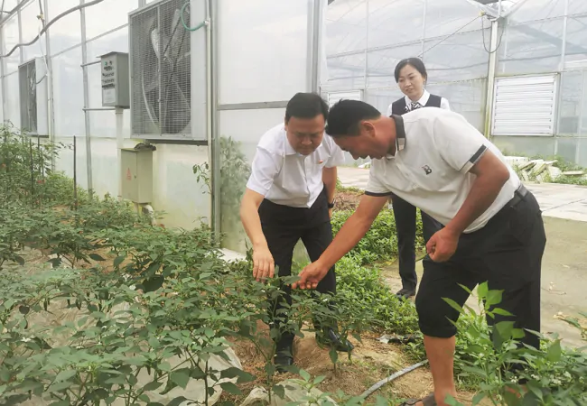 （图为：三穗农商银行党委书记吴永泽入园调研）.png