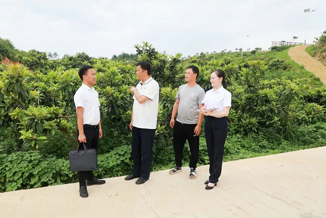 (图二为:邮储银行黔东南州分行客户经理走访台江县革一镇革一村枇杷种植基地).jpg