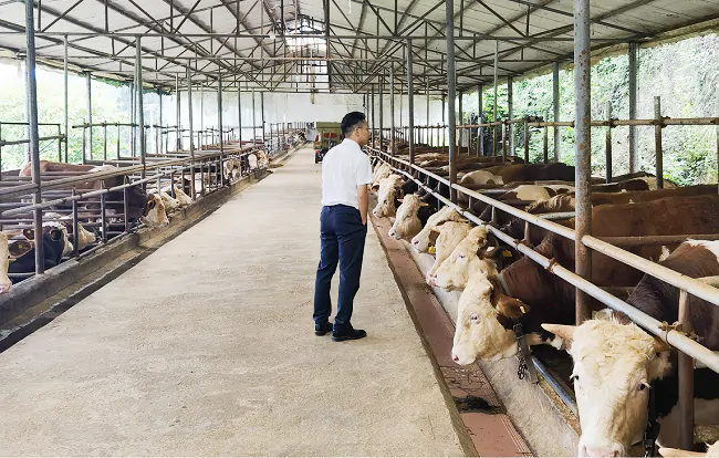 岑巩农信联社：农信助力&ldquo;新农人&rdquo;再注发展&ldquo;新力量&rdquo;