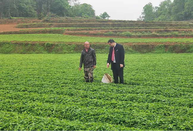 （图为：牛大场信用社工作人员走访敖大叔太子参种植基地）.png