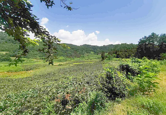 岑巩农信联社：金融&ldquo;活水&rdquo;浇出乡村振兴&ldquo;致富果&rdquo;