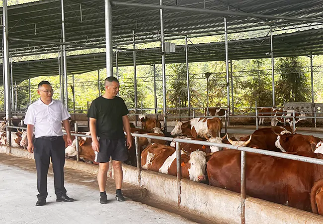 工商银行凯里分行： 竭&ldquo;金&rdquo;所能共赴&ldquo;村超&rdquo; 金融发力&ldquo;工&rdquo;绘乡村振兴新画卷