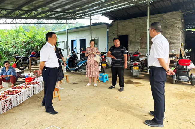 (图为:县联社党委书记、理事长朱骏,党委副书记、主任黄进堂走访调研水果种植合作社).png