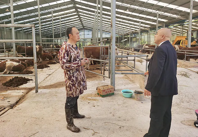 （图为：到农户养牛场了解资金需求）.png