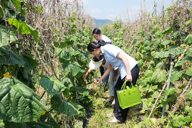 插图2:图为邮储银行榕江县支行客户经理在某蔬果种植基地做贷款调查(二).JPG