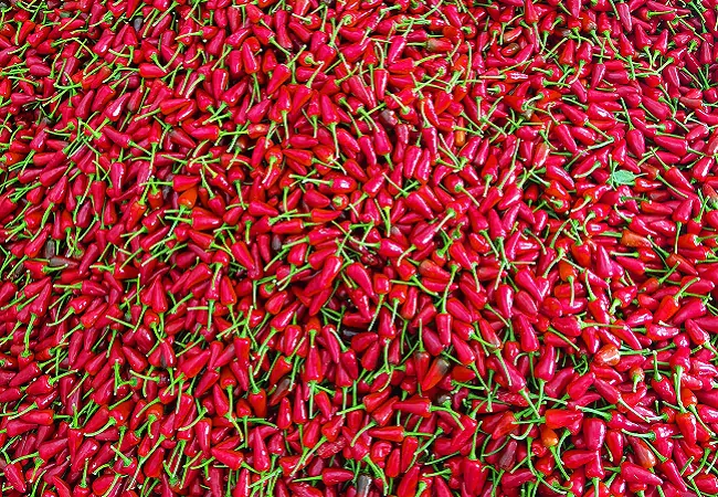 （图为：红彤彤的辣椒）.jpg