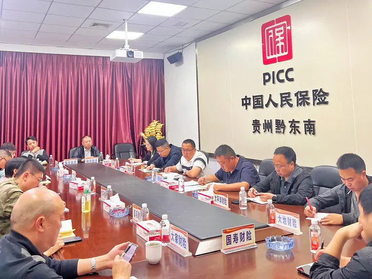 黔东南州保险行业协会召开2023年第五次财产险专业委员会